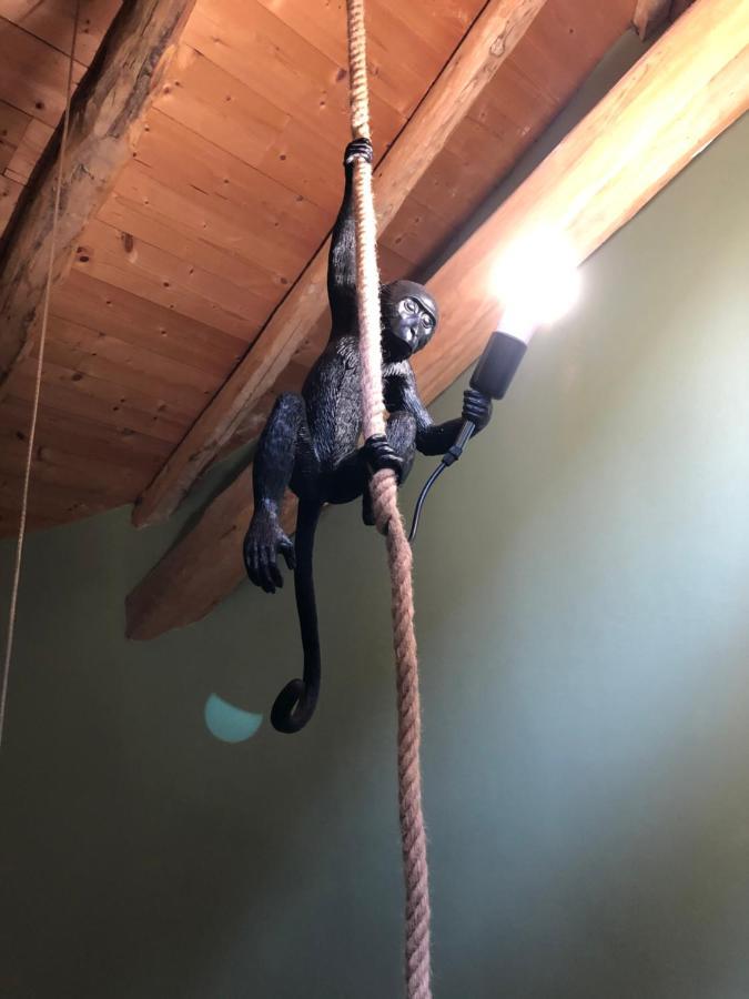 La Maison D'Obinat Auzas Esterno foto